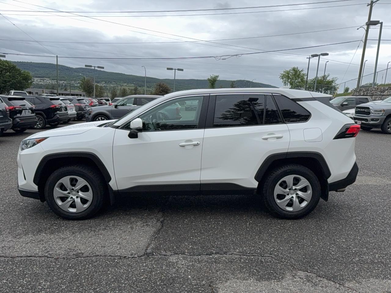 2025 Toyota RAV4 LE Photo