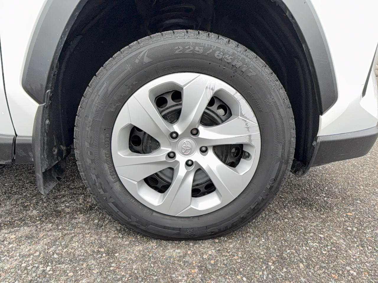 2025 Toyota RAV4 LE Photo