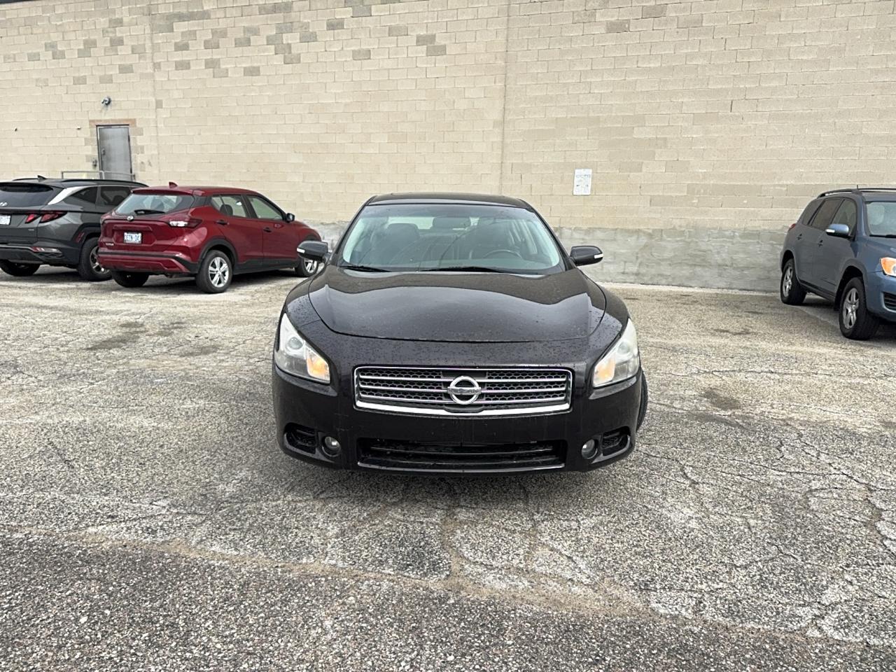 2011 Nissan Maxima 3.5 S Photo