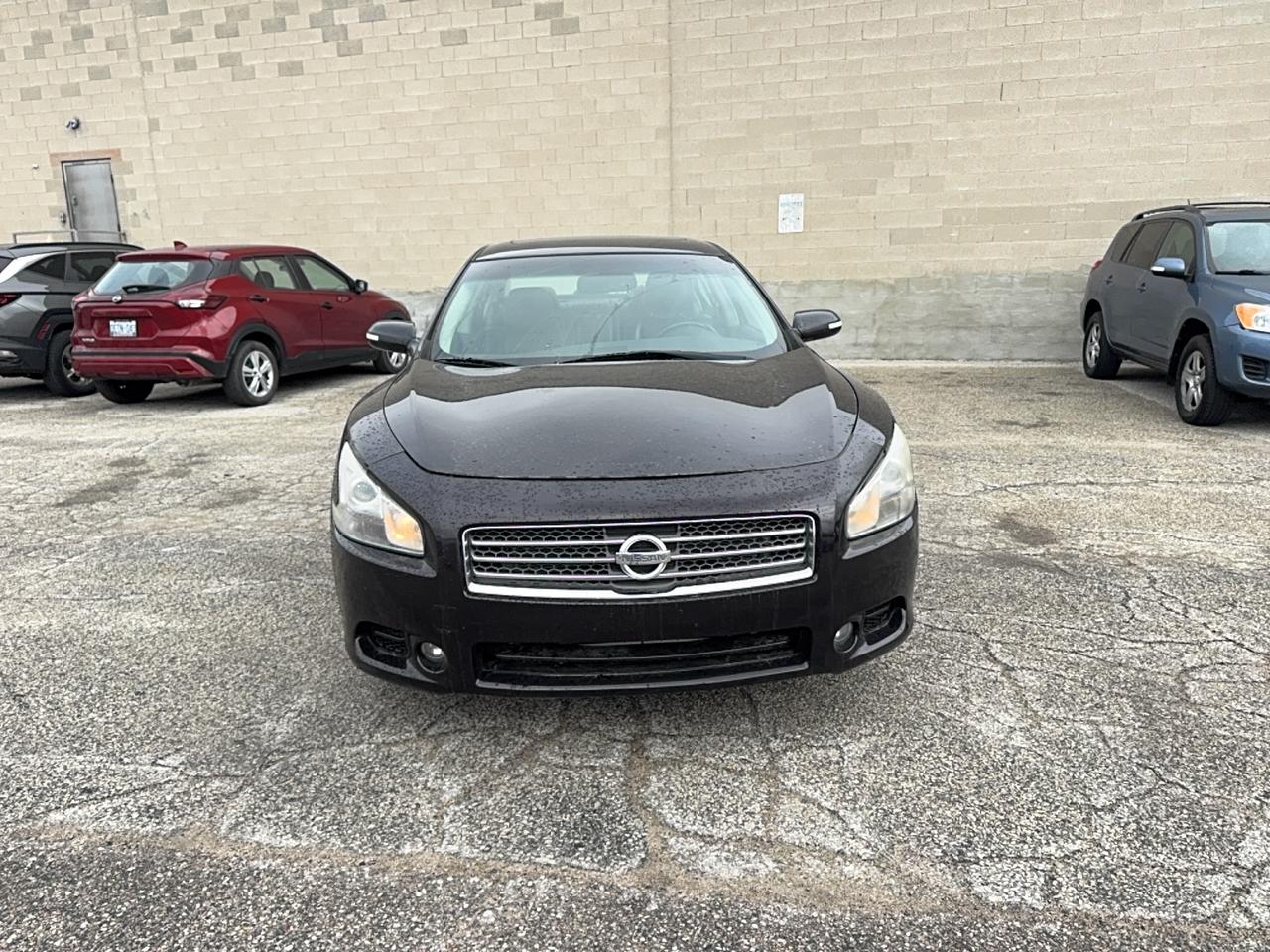 2011 Nissan Maxima 3.5 S Photo