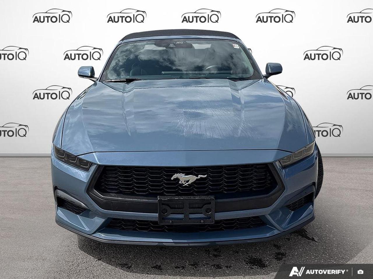 2025 Ford Mustang EcoBoost Premium 200A|ACTIVE VALVE EXHAUST|HEATED/VENT SEATS Photo