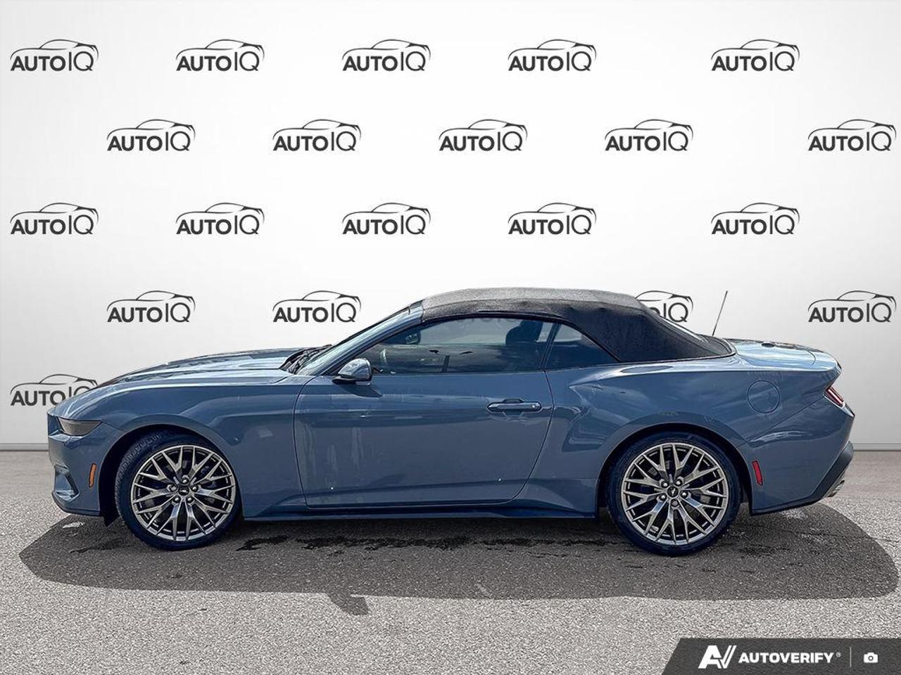 2025 Ford Mustang EcoBoost Premium 200A|ACTIVE VALVE EXHAUST|HEATED/VENT SEATS Photo