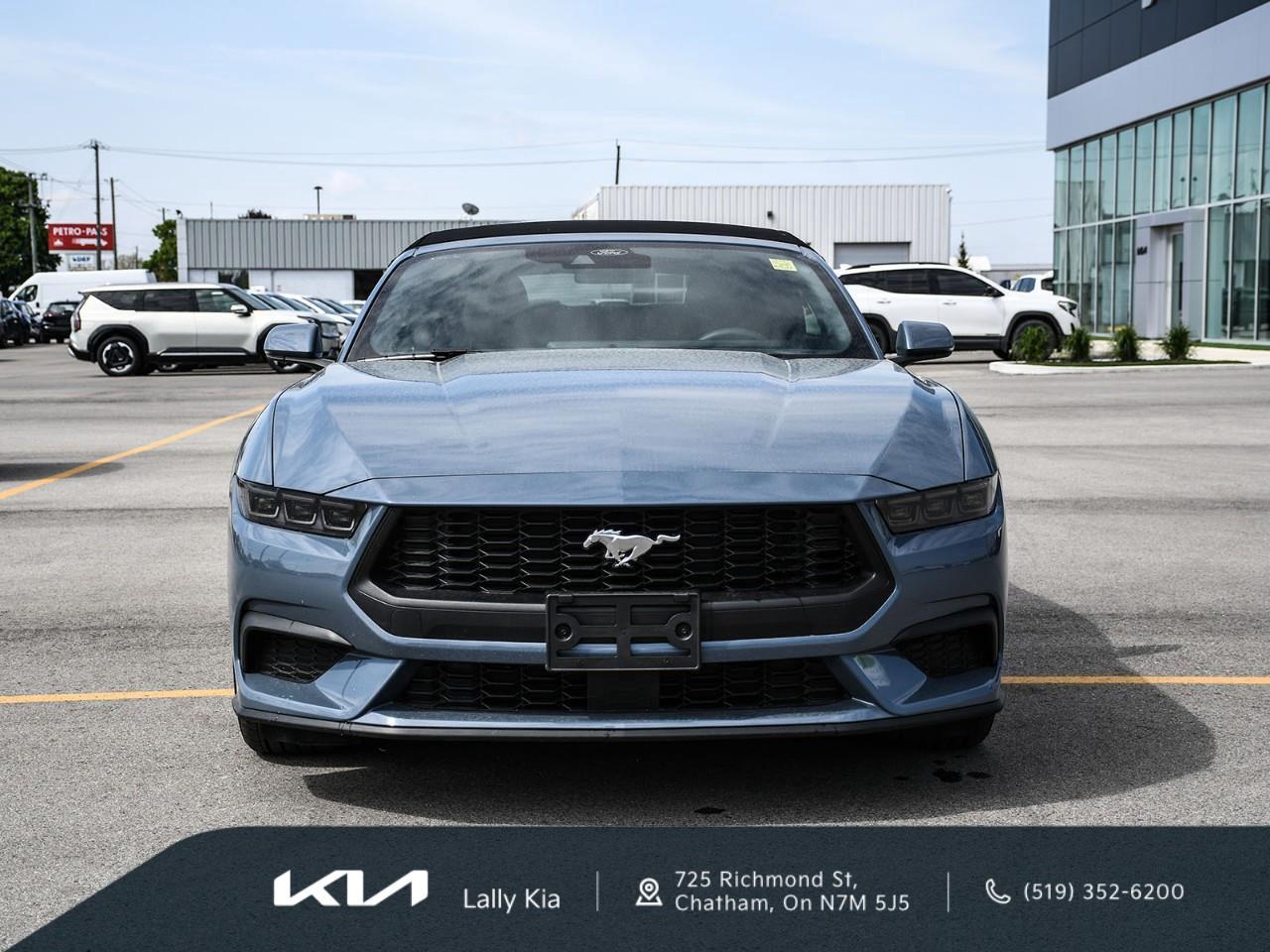 2025 Ford Mustang 2025 Ford Mustang EcoBoost Premium | Convertible | Stock #LK0083T Photo
