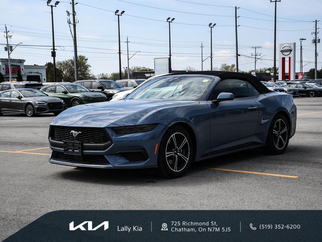 2025 Ford Mustang 2025 Ford Mustang EcoBoost Premium | Convertible | Stock #LK0083T Photo