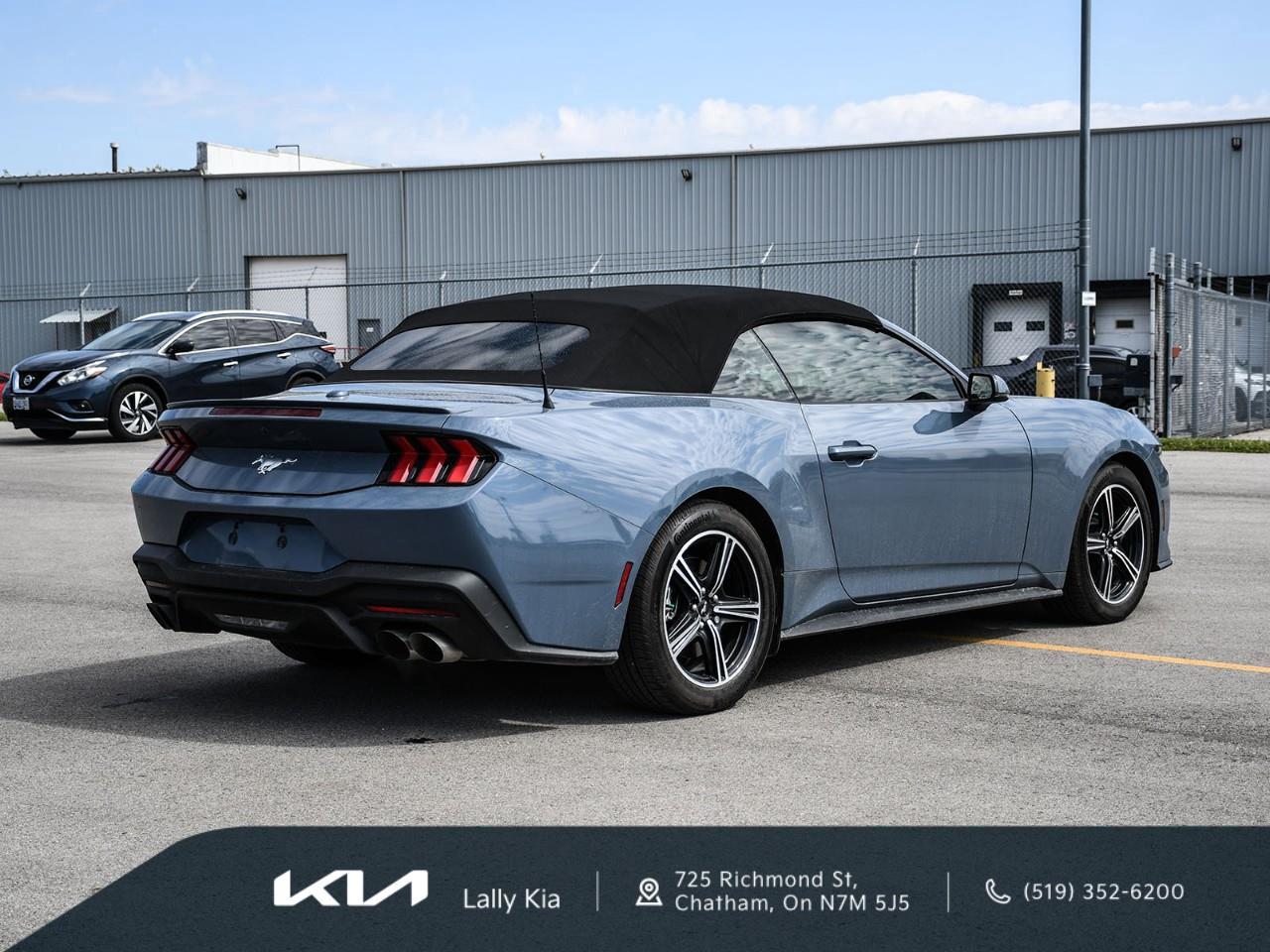 2025 Ford Mustang 2025 Ford Mustang EcoBoost Premium | Convertible | Stock #LK0083T Photo