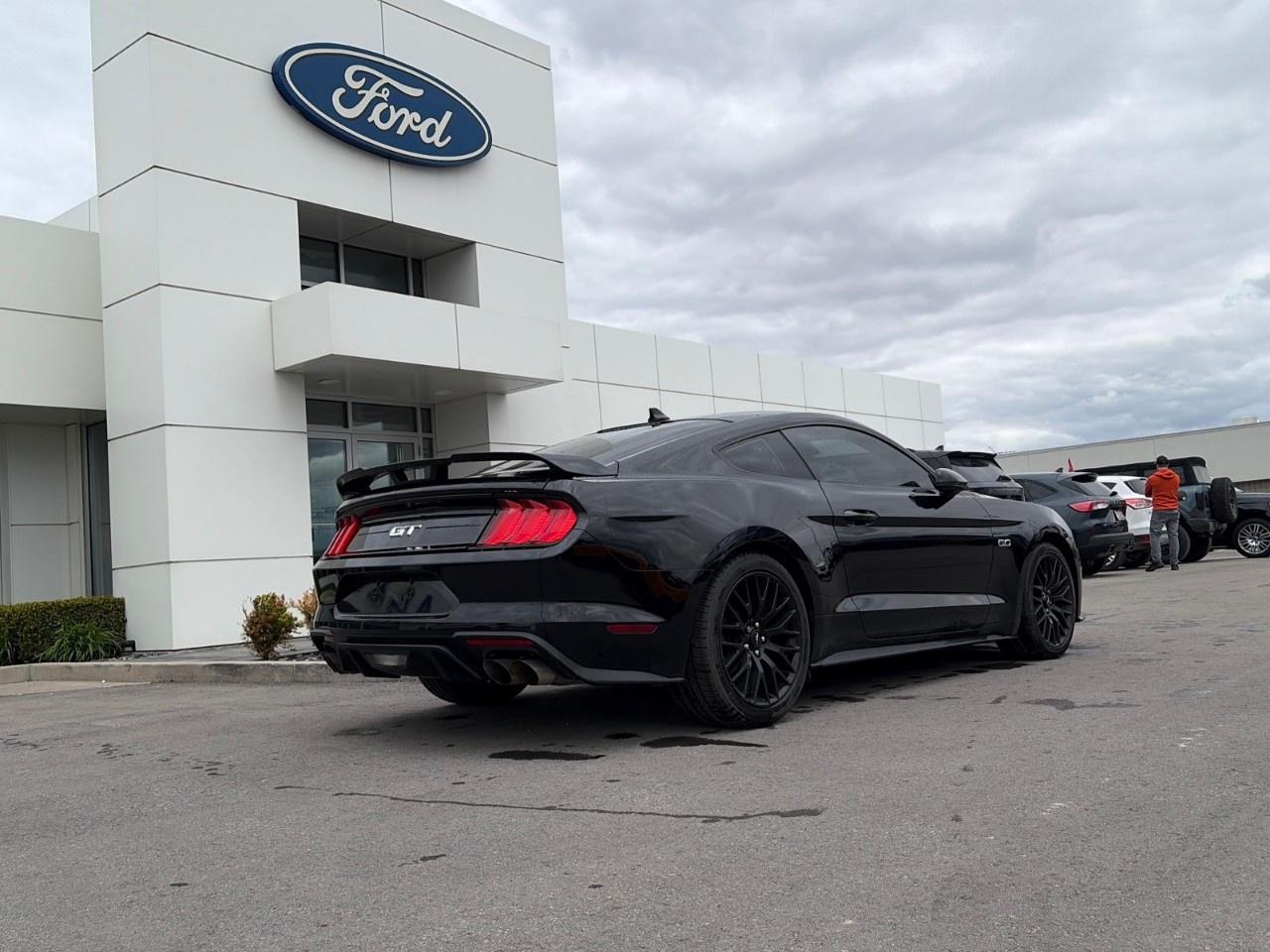 2023 Ford Mustang GT Premium Fastback Photo2