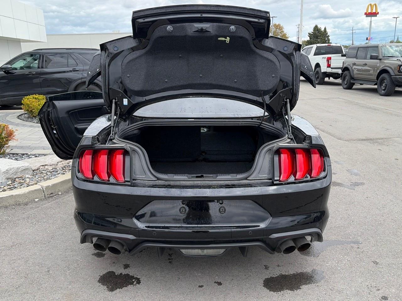 2023 Ford Mustang GT Premium Fastback Photo4
