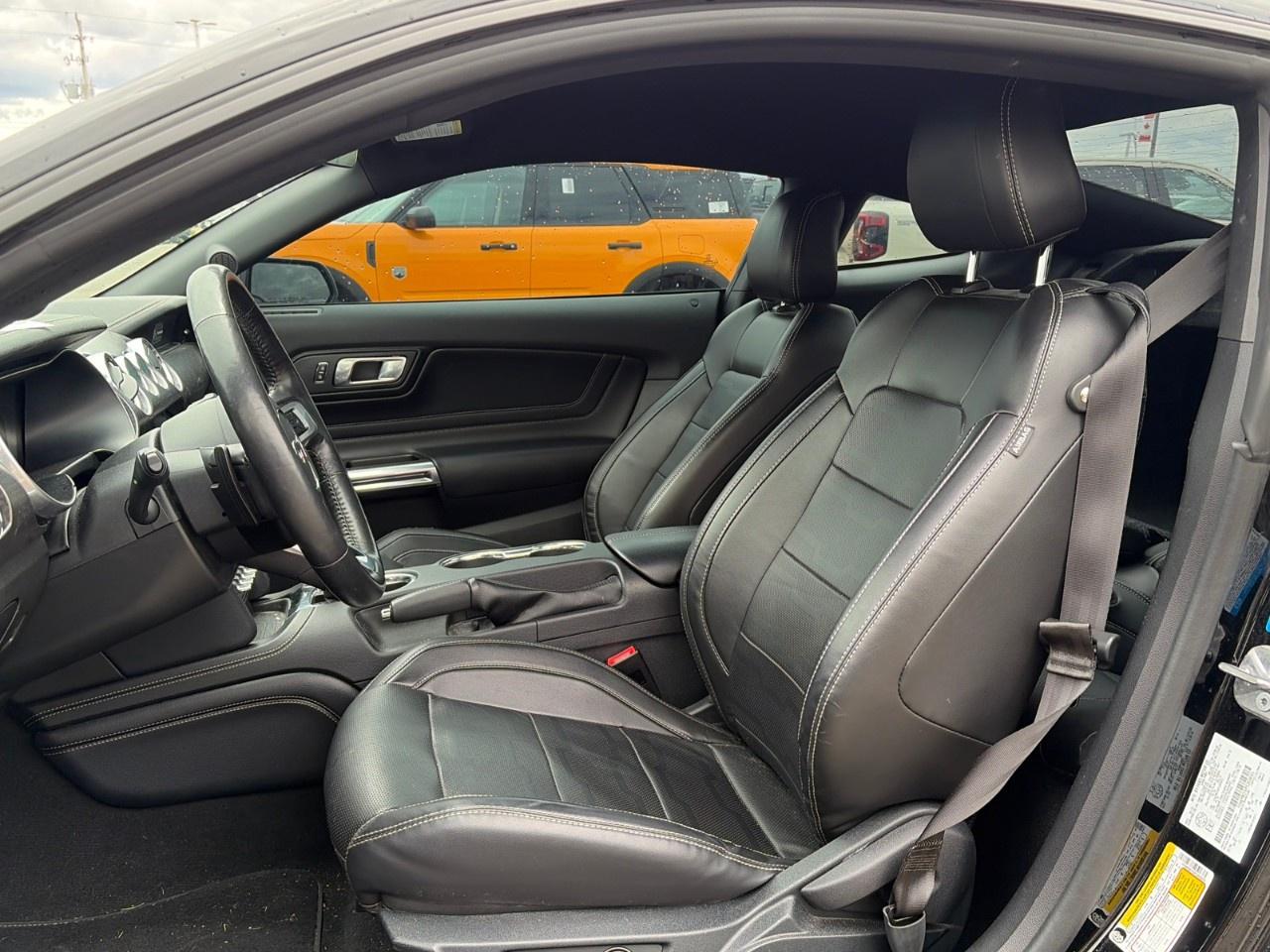2023 Ford Mustang GT Premium Fastback Photo