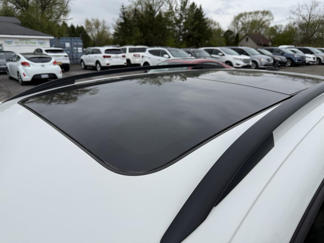 2014 Volkswagen Tiguan Trendline Photo
