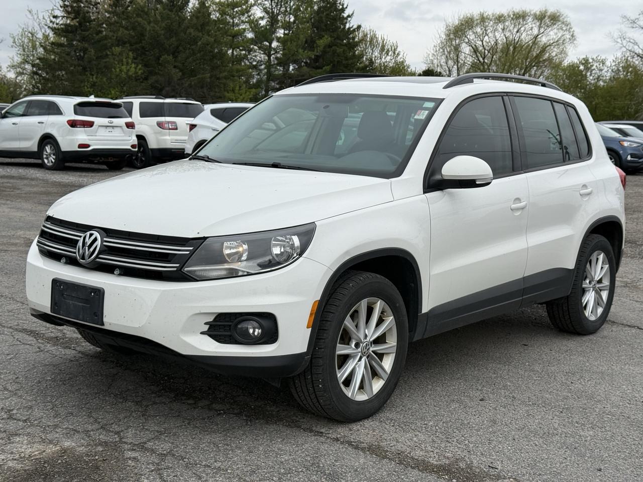 2014 Volkswagen Tiguan Trendline Photo