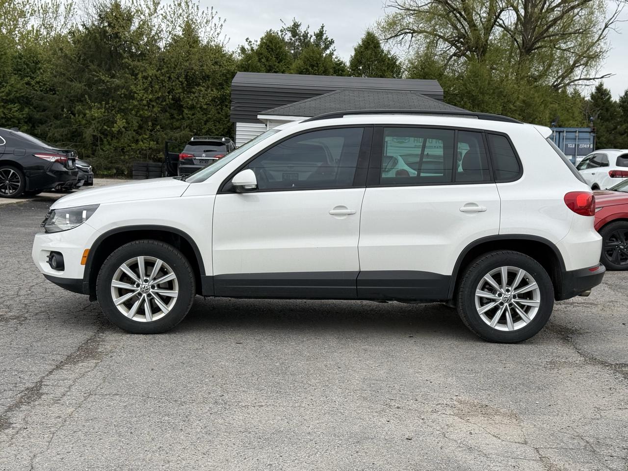 2014 Volkswagen Tiguan Trendline Photo