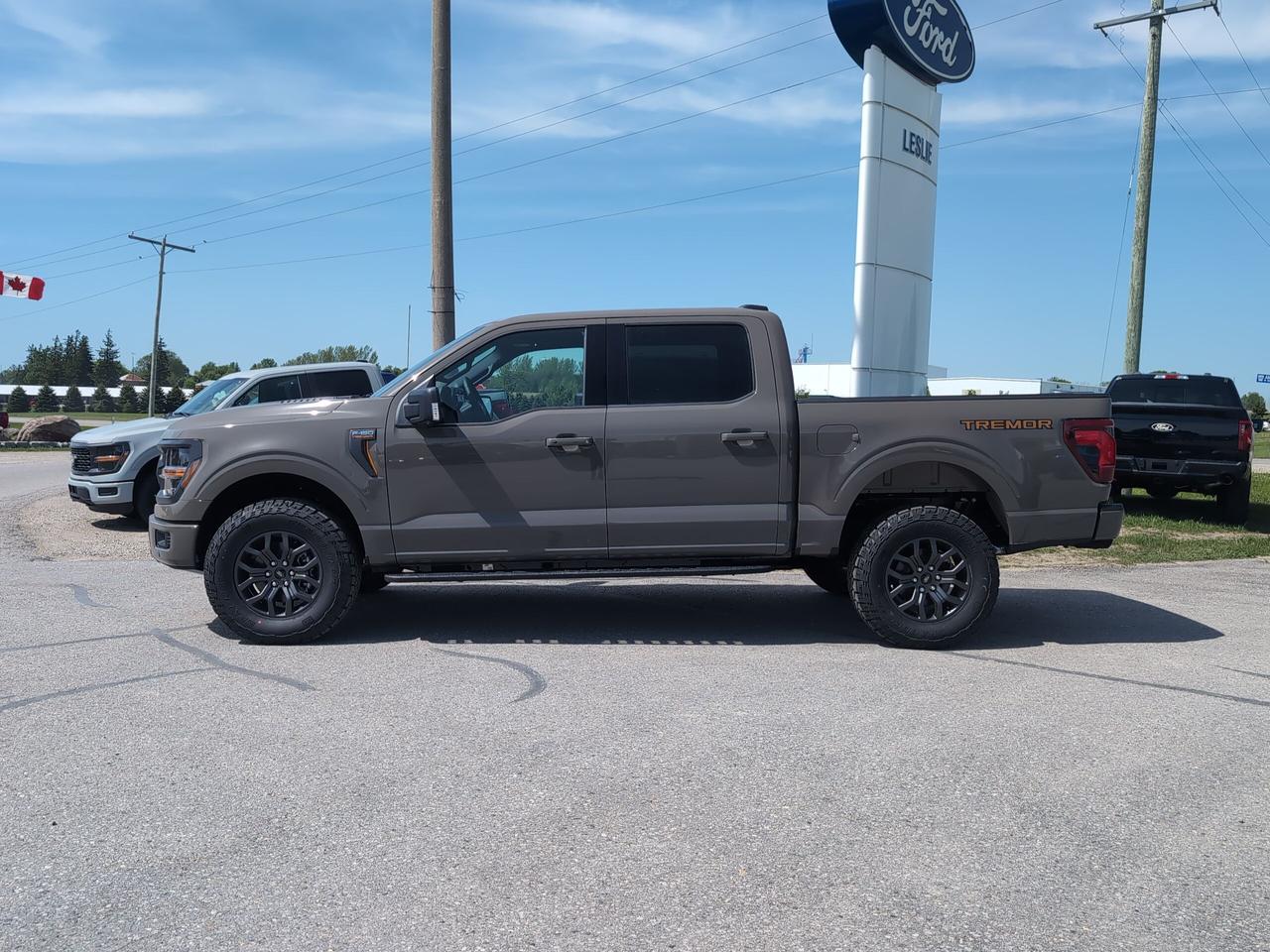 2026 Ford F-150 Tremor SuperCrew 401A 4x4 Photo2