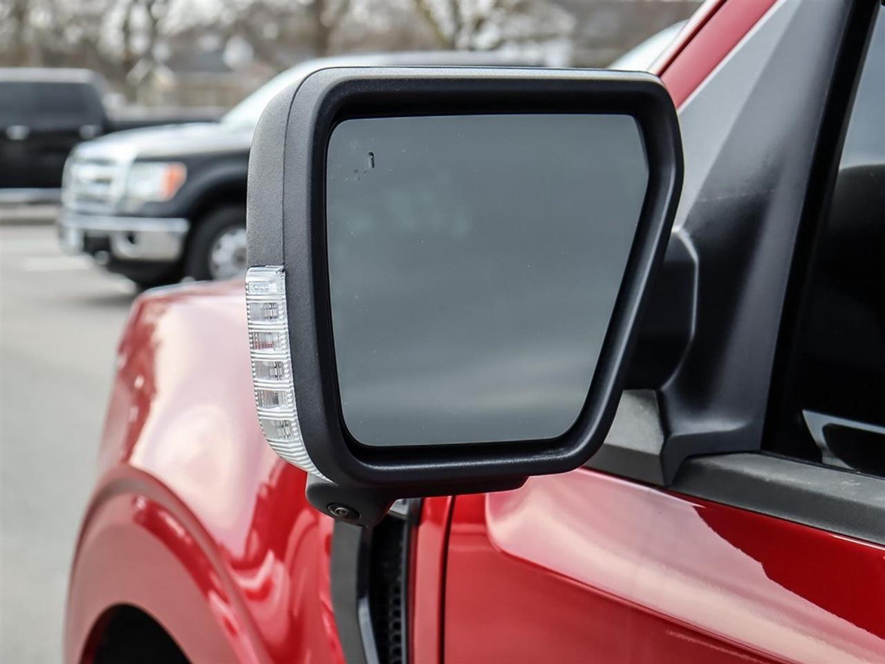 2025 Ford F-150 XLT 4WD SuperCrew 5.5' Box Photo