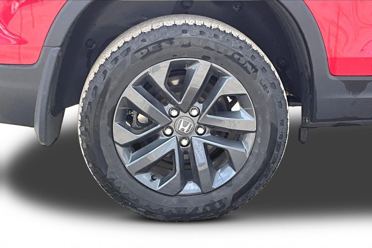 2023 Honda Ridgeline SPORT Photo
