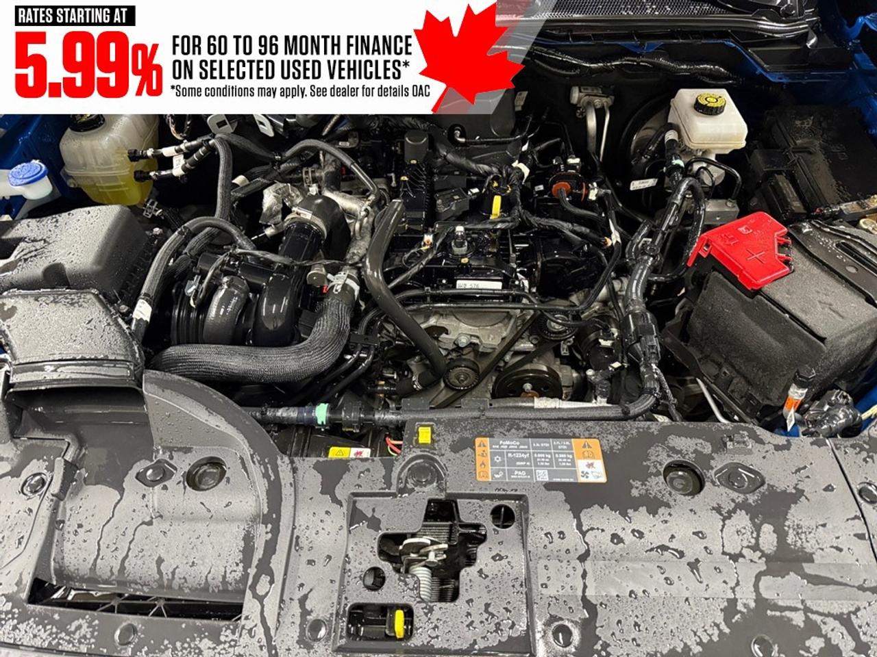 2024 Ford Ranger XLT 4WD SuperCrew 5' Box Photo