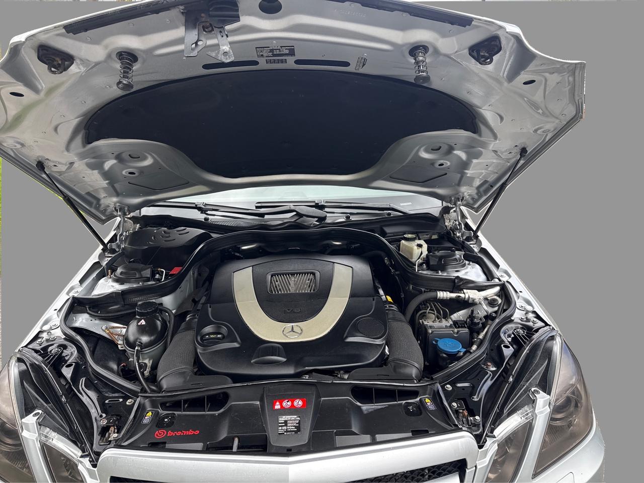 2010 Mercedes-Benz E-Class E550 Photo