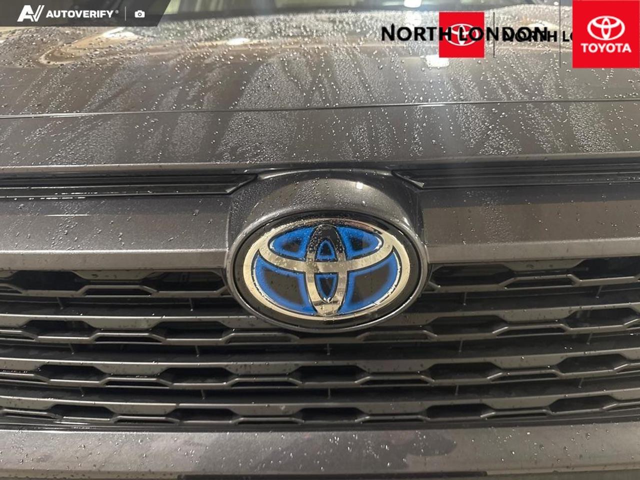 2024 Toyota RAV4 Hybrid XLE 4dr All-Wheel Drive Photo