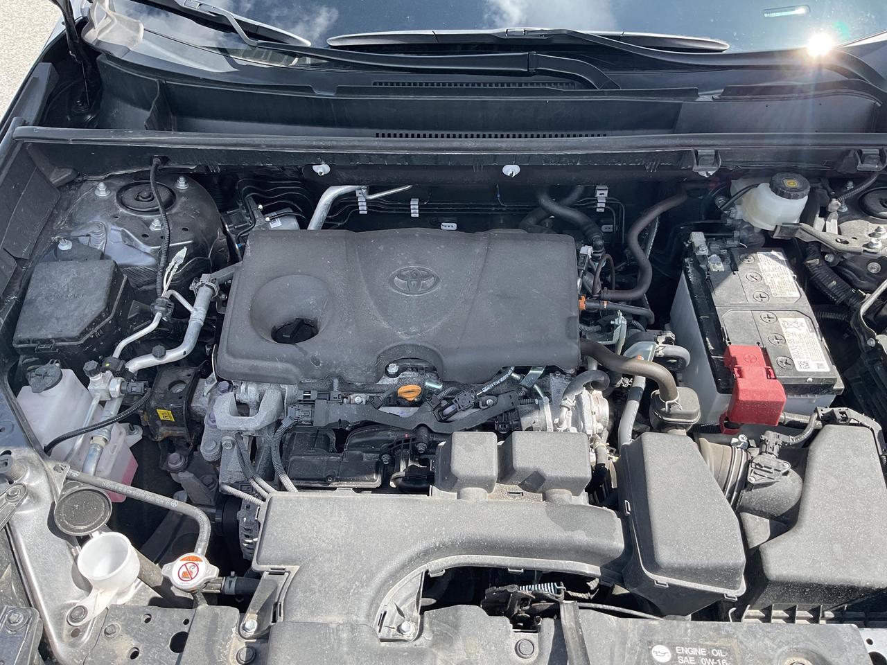 2025 Toyota RAV4 LE 4dr All-wheel Drive Photo