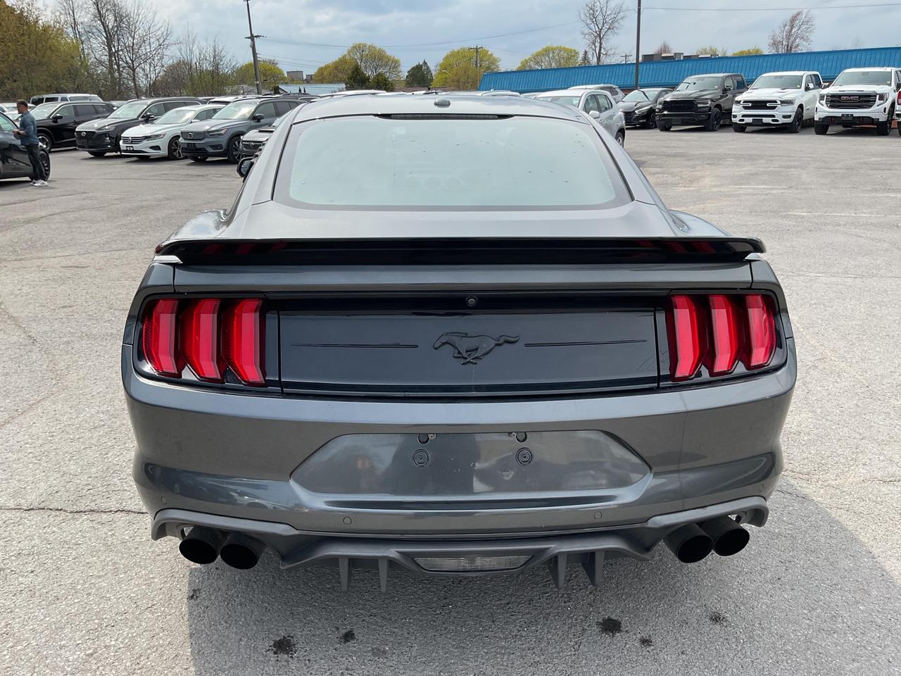2019 Ford Mustang  Photo