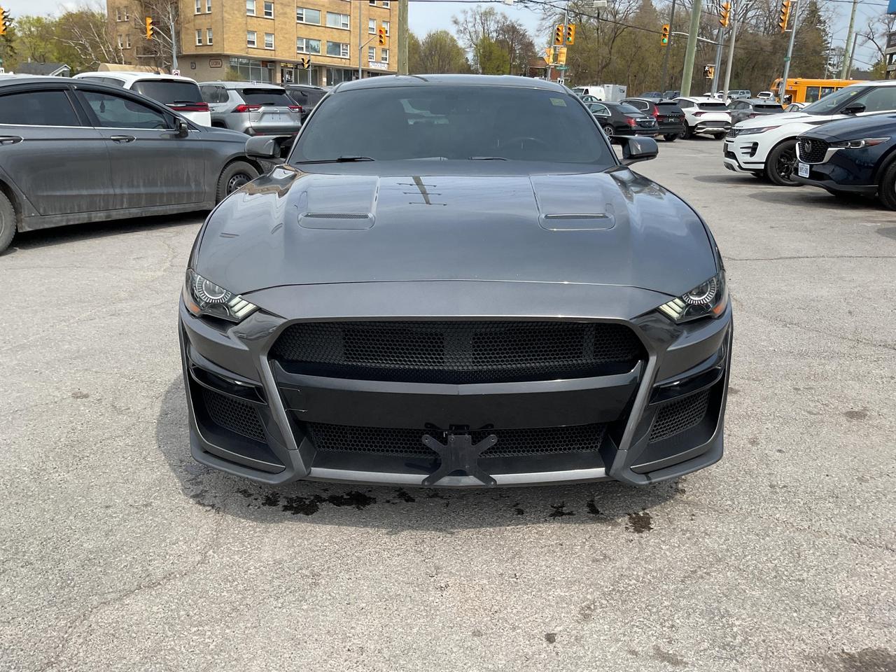 2019 Ford Mustang  Photo
