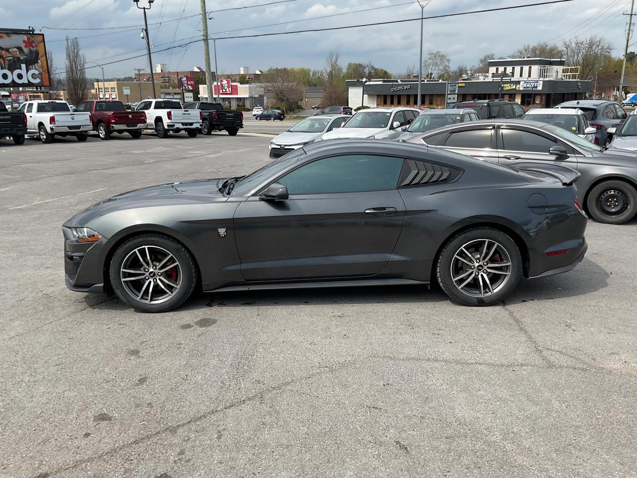 2019 Ford Mustang  Photo