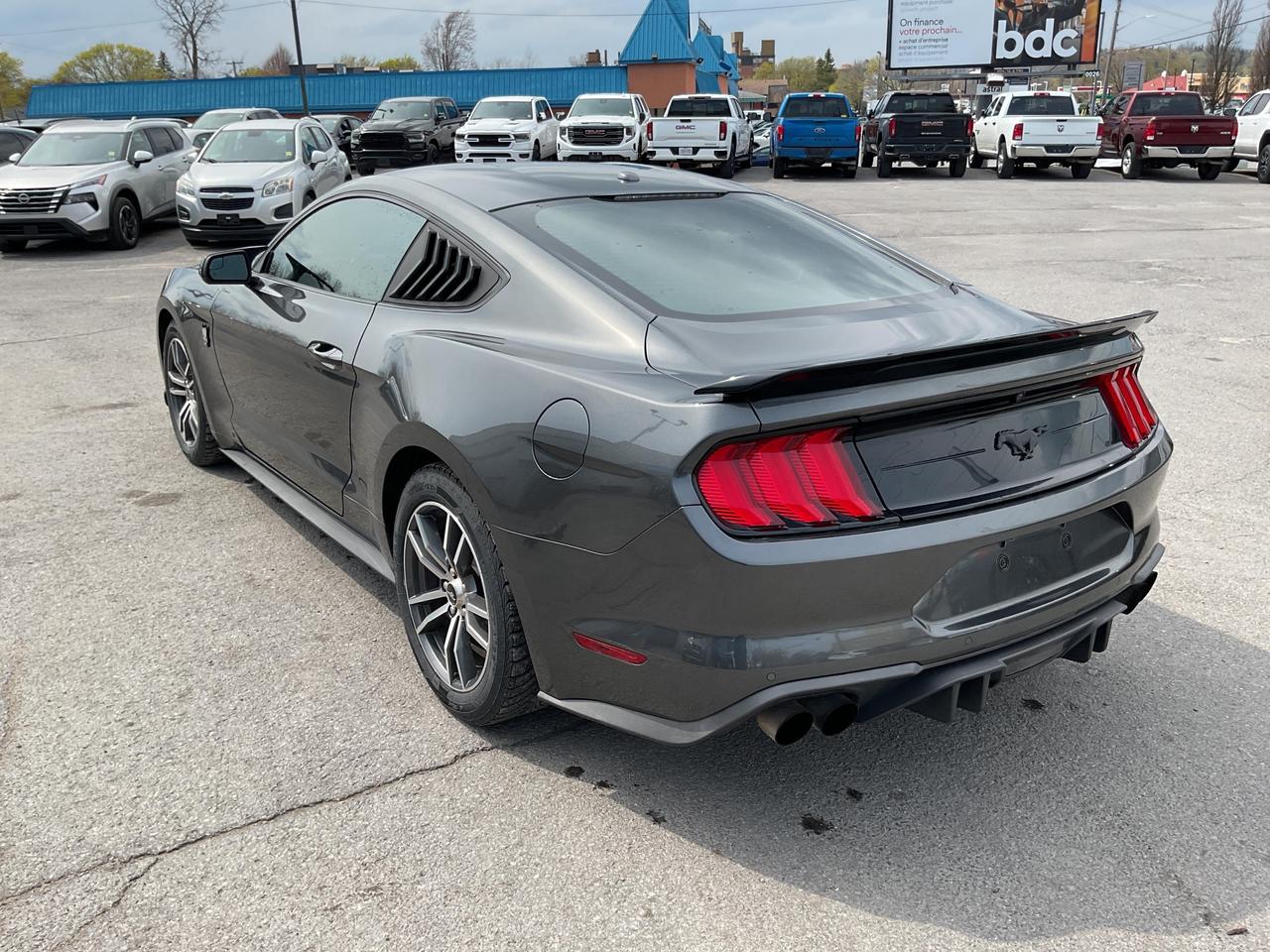 2019 Ford Mustang  Photo