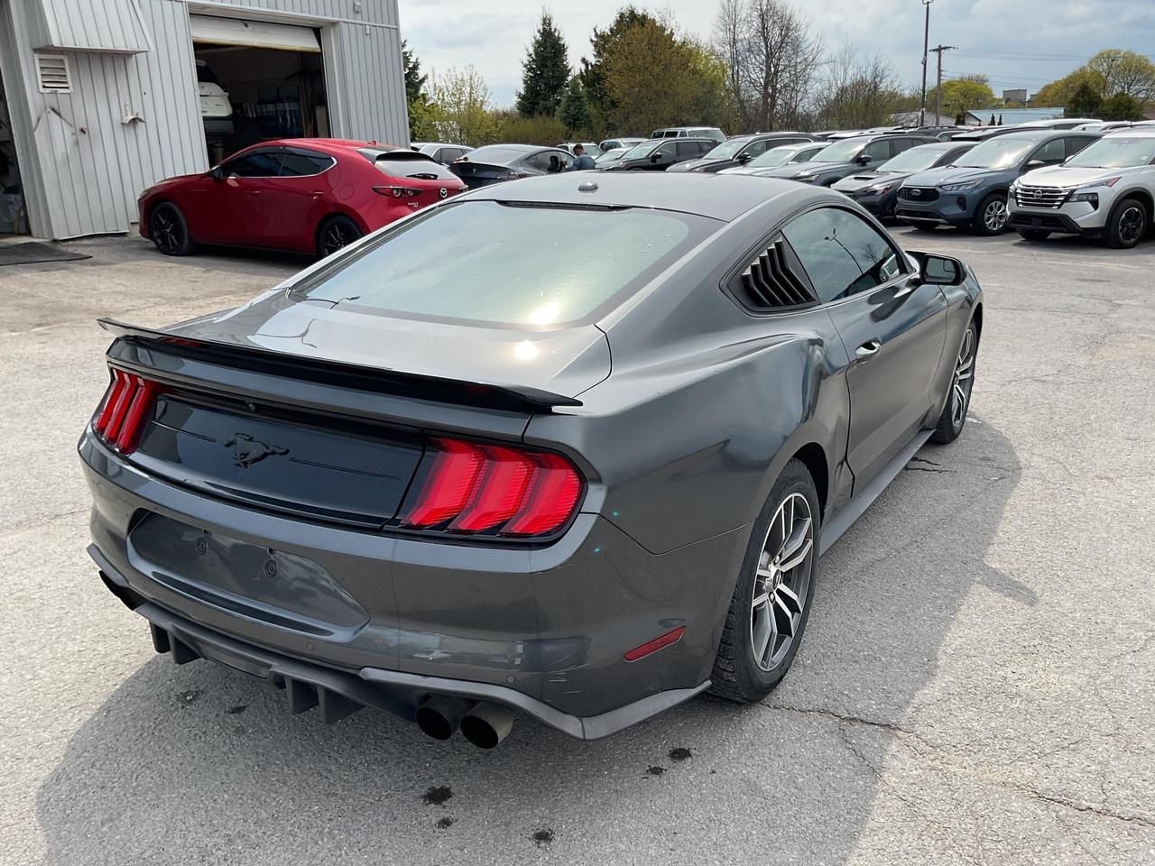 2019 Ford Mustang  Photo