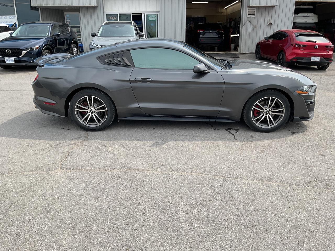 2019 Ford Mustang  Photo