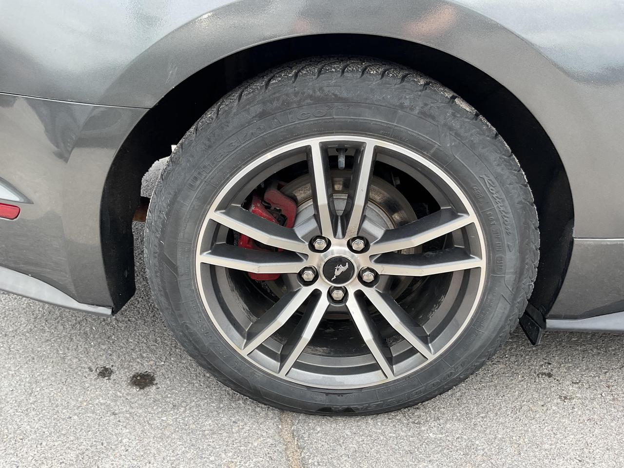 2019 Ford Mustang  Photo