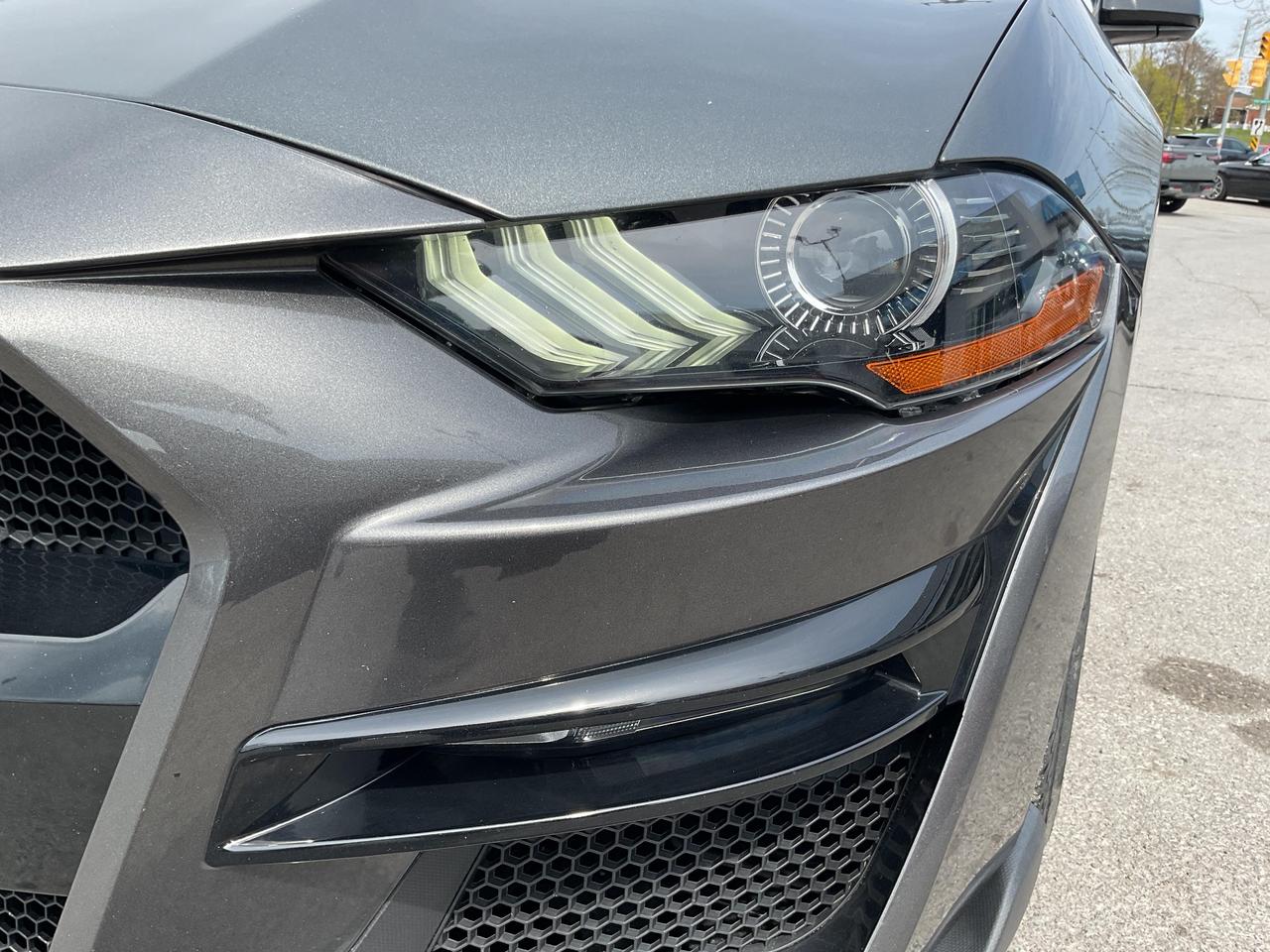 2019 Ford Mustang  Photo