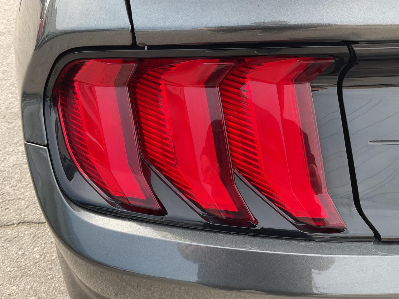 2019 Ford Mustang  Photo
