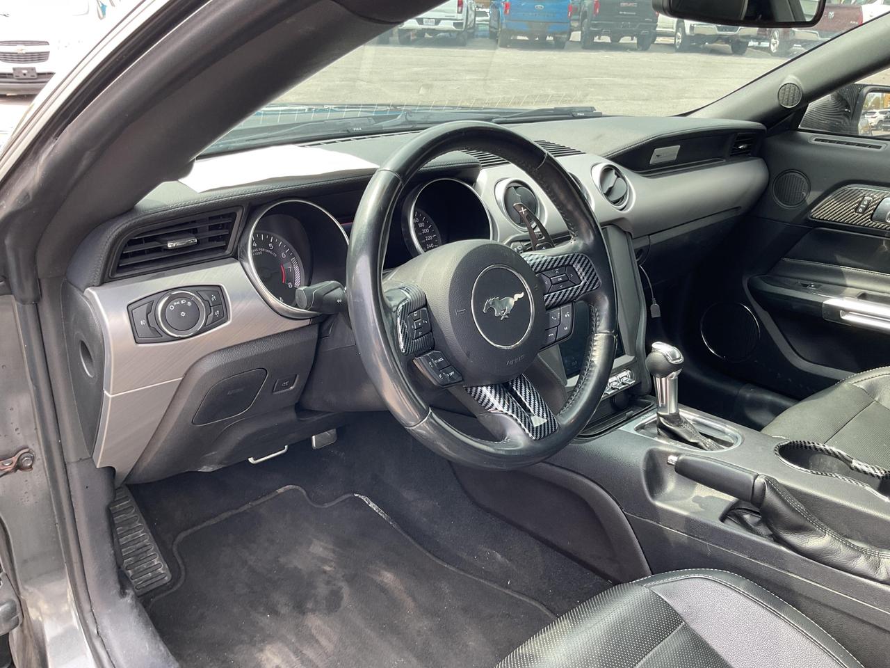 2019 Ford Mustang  Photo