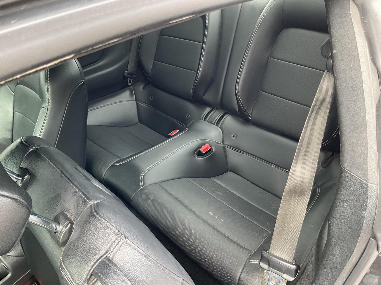 2019 Ford Mustang  Photo