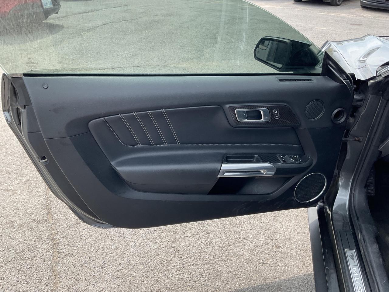2019 Ford Mustang  Photo