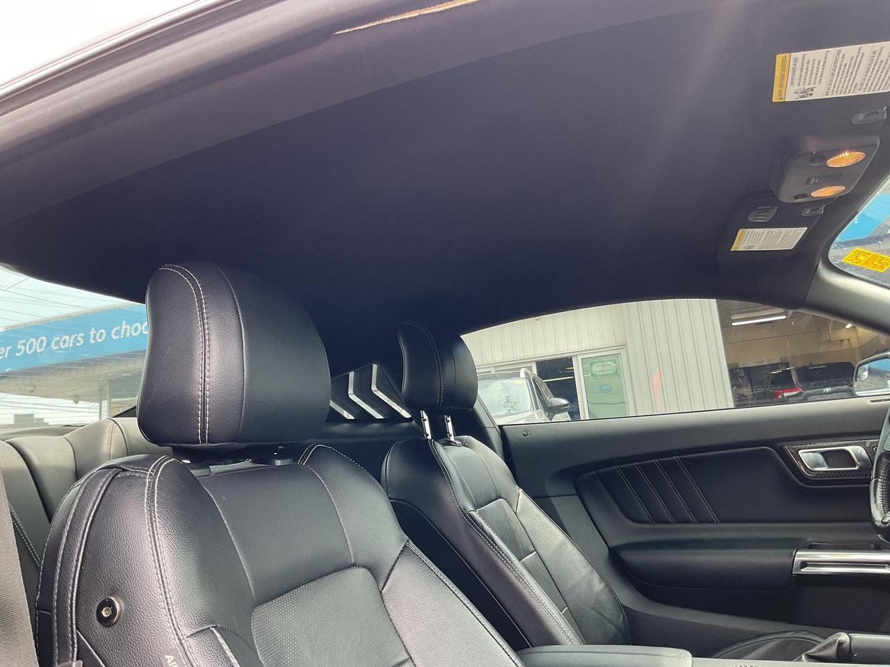 2019 Ford Mustang  Photo