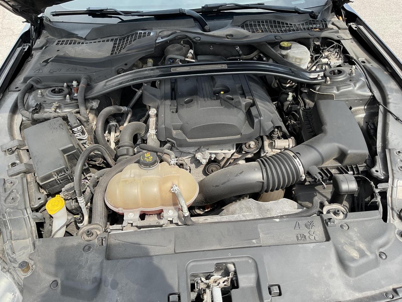 2019 Ford Mustang  Photo