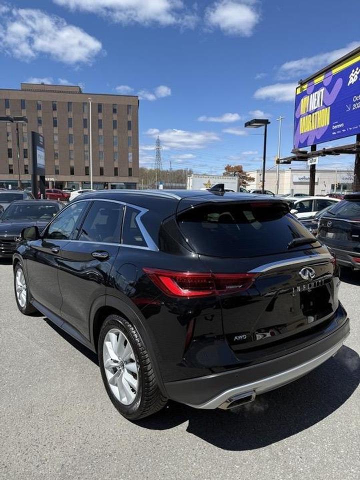 2019 Infiniti QX50  Photo