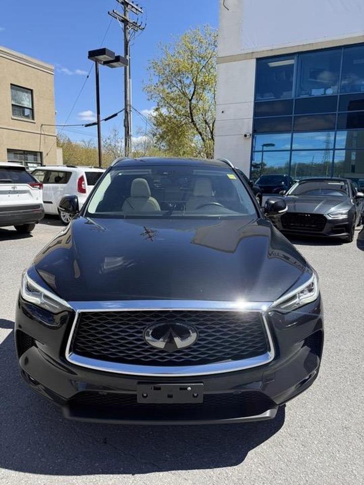 2019 Infiniti QX50  Photo