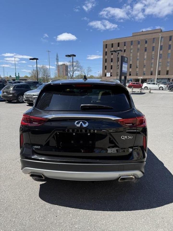 2019 Infiniti QX50  Photo