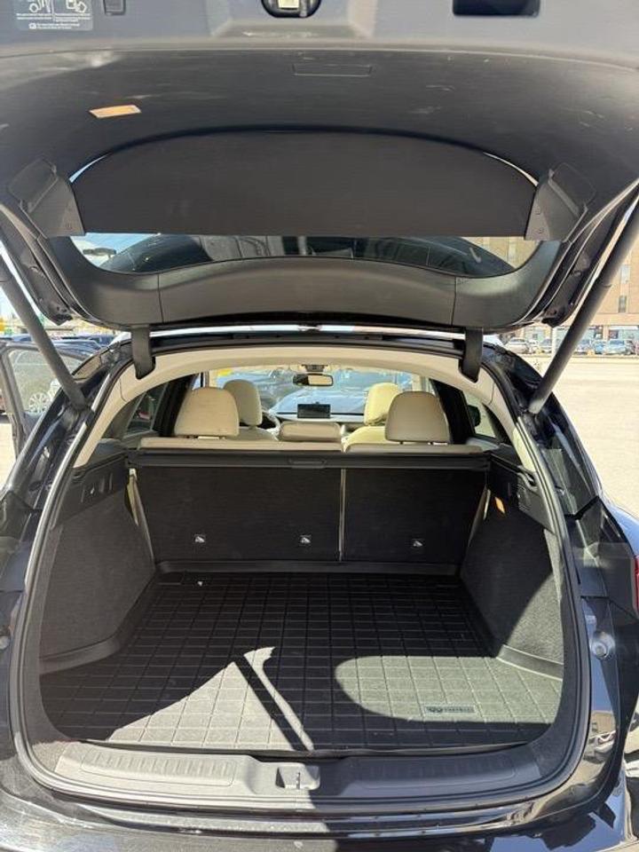 2019 Infiniti QX50  Photo