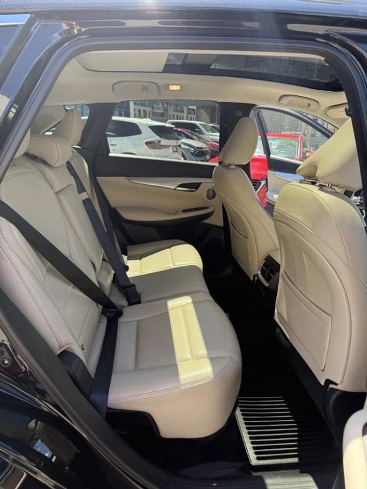 2019 Infiniti QX50  Photo