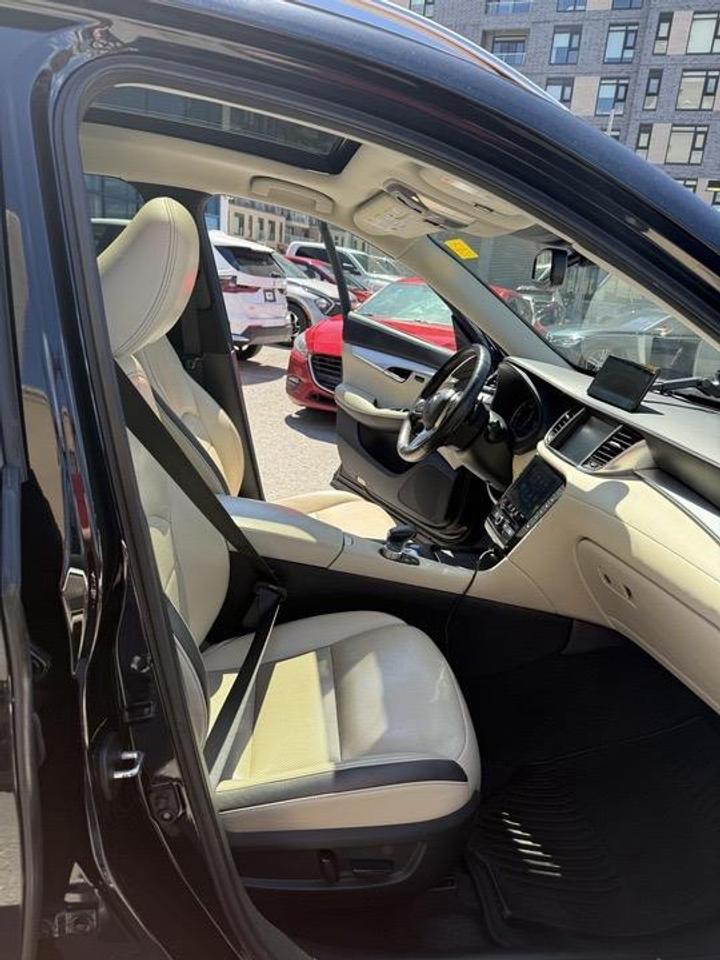 2019 Infiniti QX50  Photo