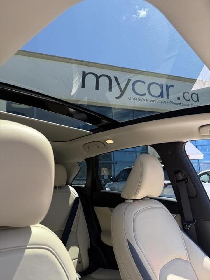 2019 Infiniti QX50  Photo