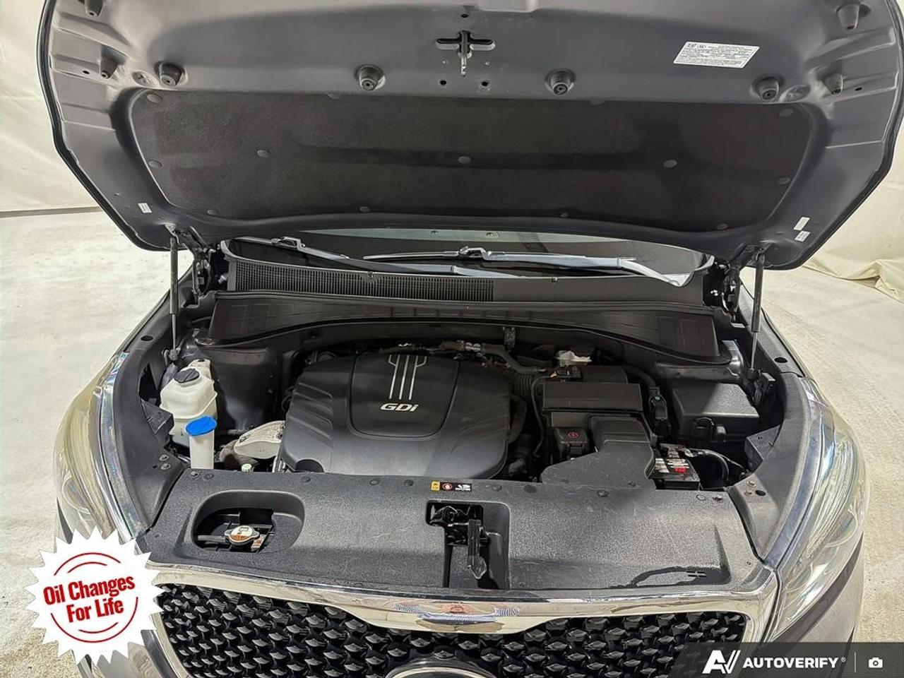 2018 Kia Sorento  Photo