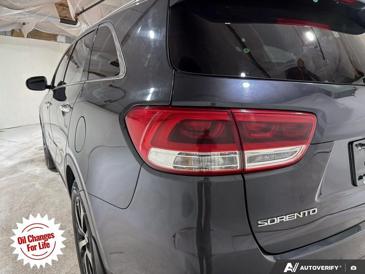 2018 Kia Sorento  Photo