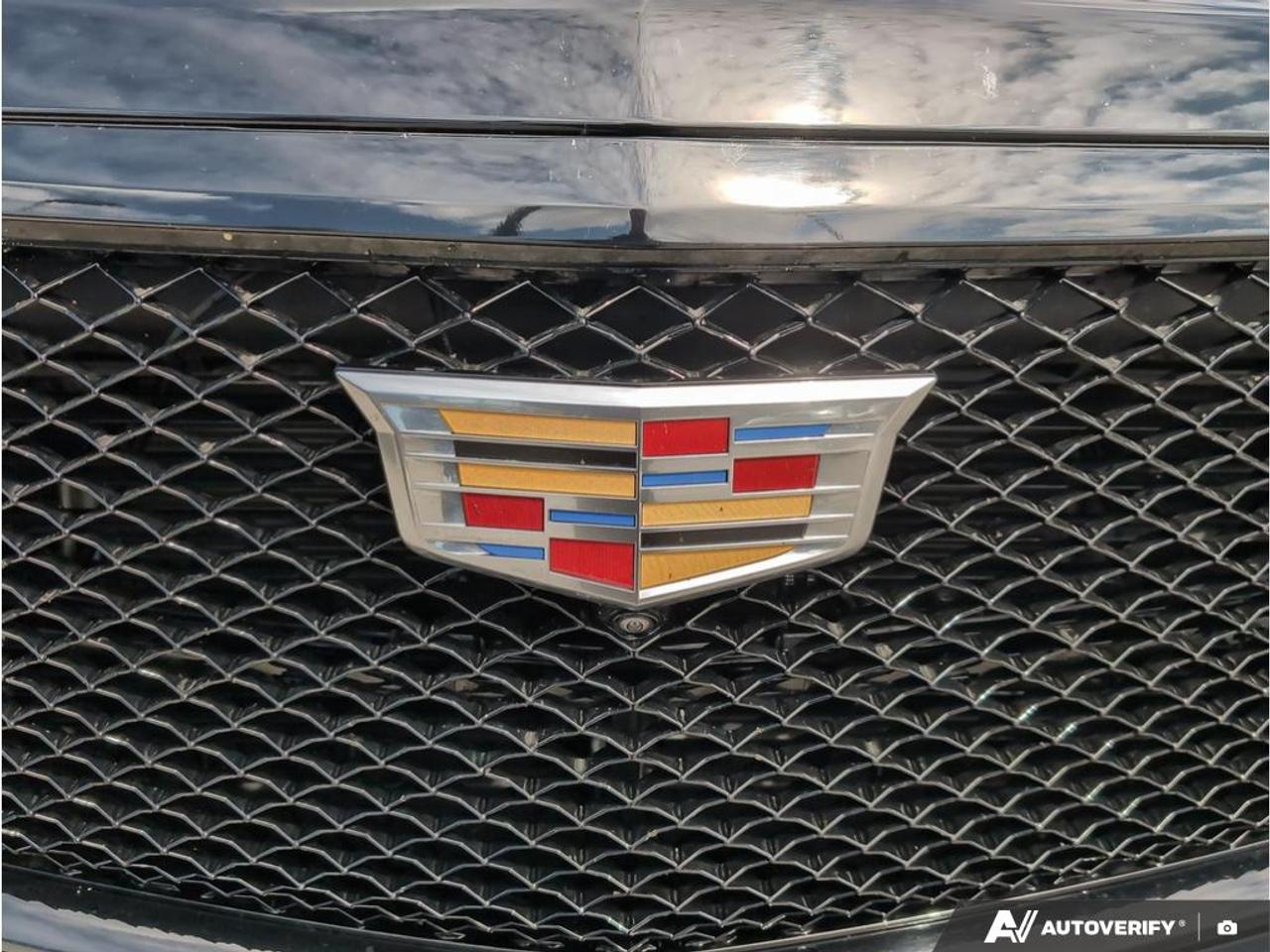 2023 Cadillac Escalade Sport All-Wheel Drive Photo