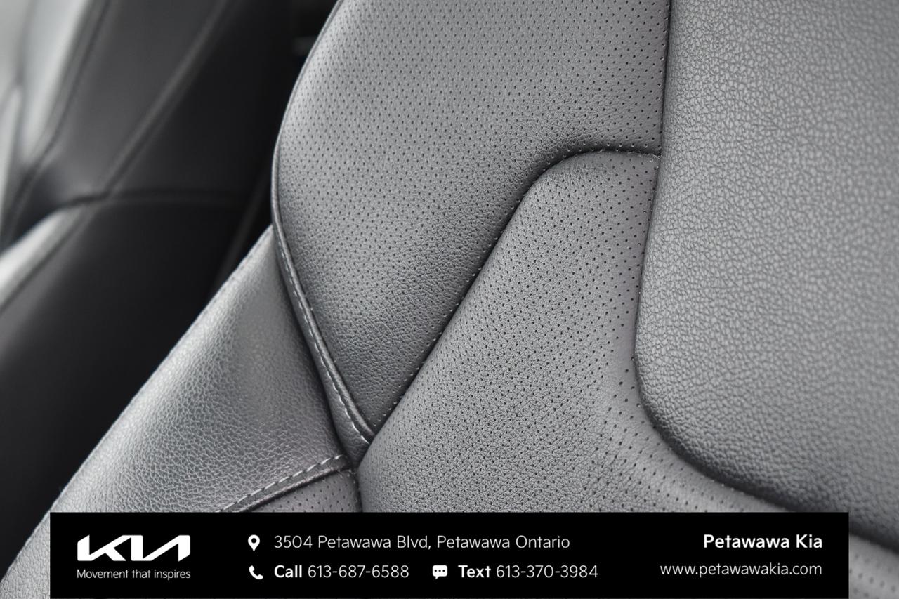 2024 Kia Telluride SX 4dr All-Wheel Drive Photo3