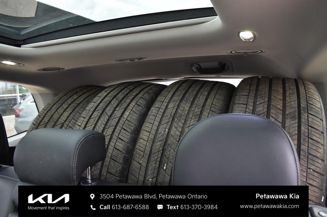 2024 Kia Telluride SX 4dr All-Wheel Drive Photo