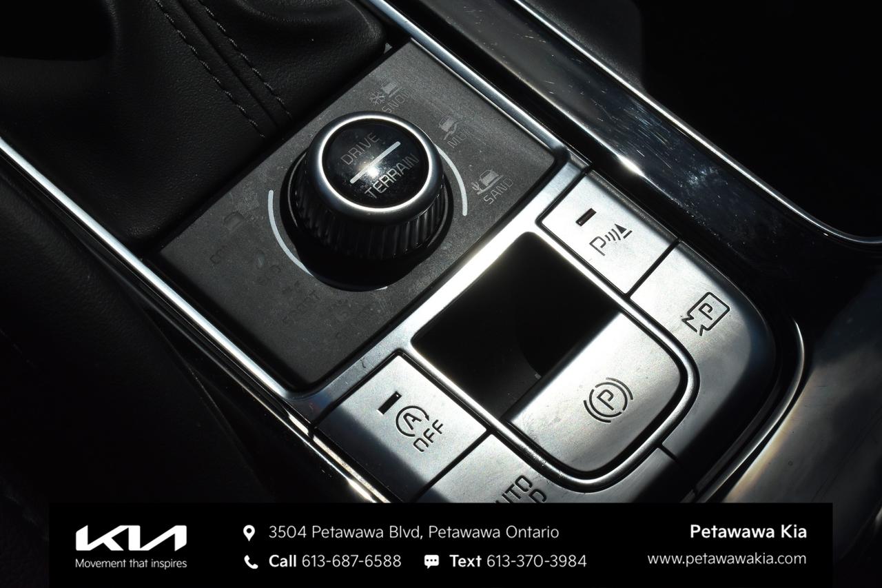 2024 Kia Telluride SX 4dr All-Wheel Drive Photo