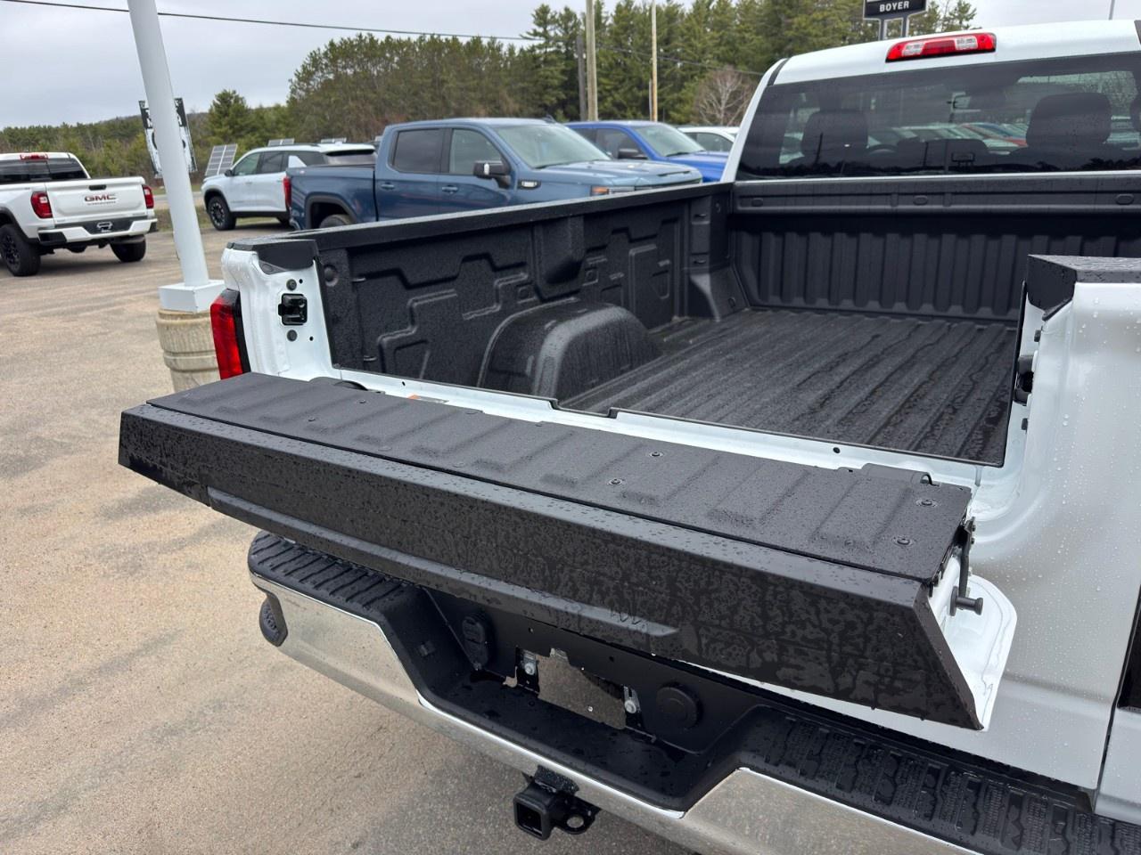 2026 GMC Sierra 1500 Regular Cab Long Box 4-Wheel Drive Pro Photo